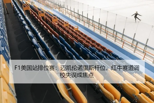 F1美国站排位赛：迈凯伦诺里斯杆位，红牛赛道调校失误成焦点